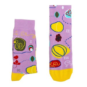 Chaussette haute fantaisie numéro 7 maturité Hilma af Klint